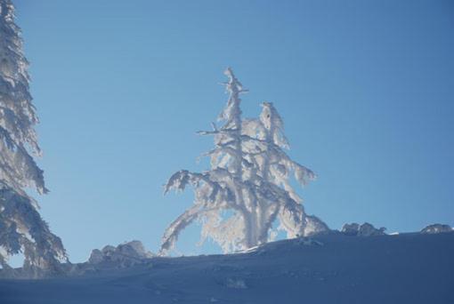 Haus Petersmann Hotel Ramsau am Dachstein Ngoại thất bức ảnh